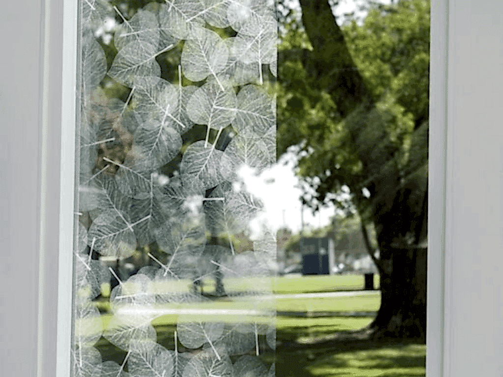 pelicula-decorativa-de-hojas-1024x768
